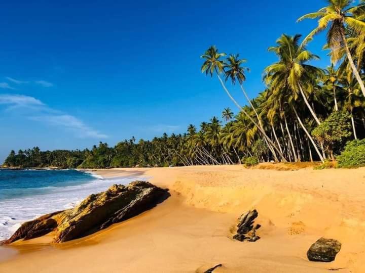 فندق La Perla بينتوتا المظهر الخارجي الصورة