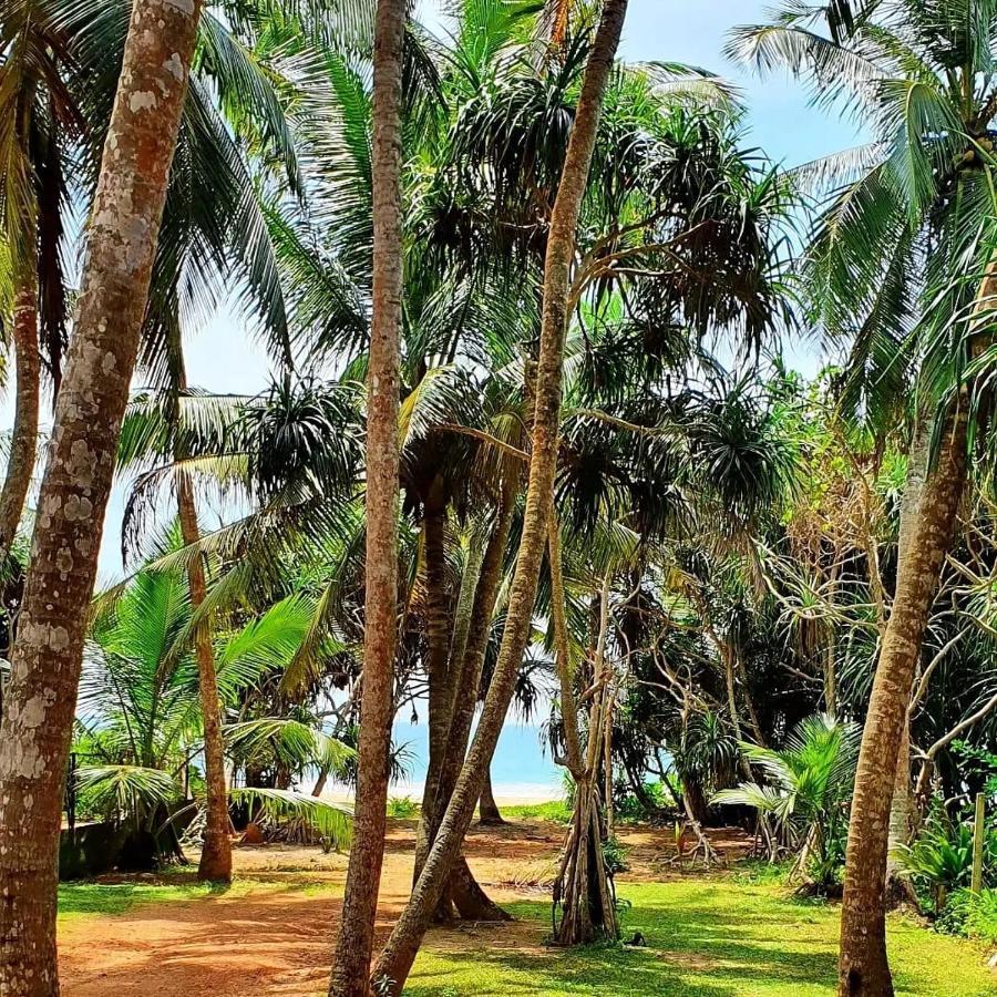 فندق La Perla بينتوتا المظهر الخارجي الصورة